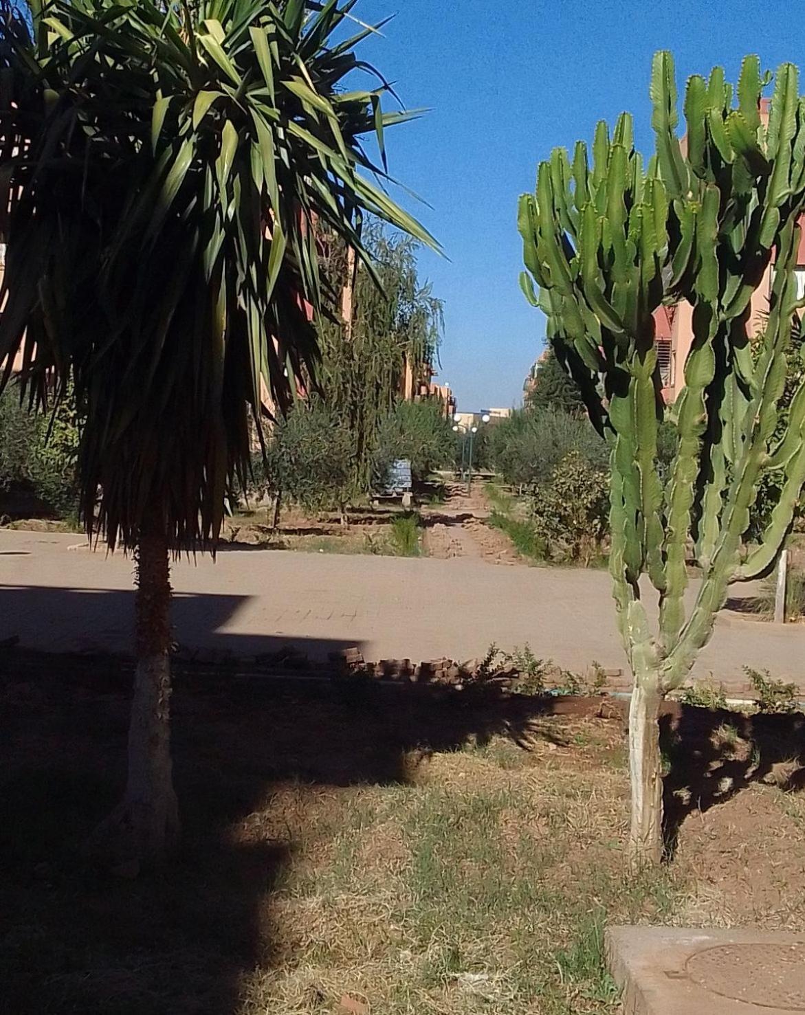 Angel Appartement Marrakesh Bagian luar foto
