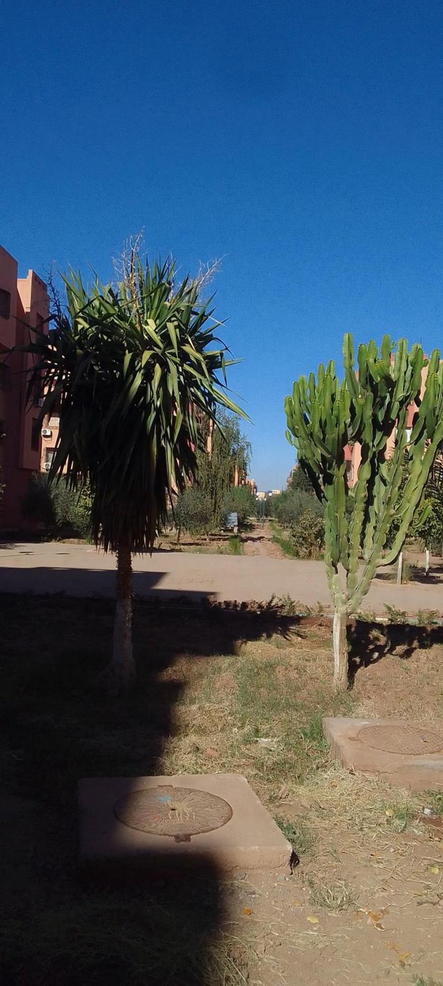 Angel Appartement Marrakesh Bagian luar foto